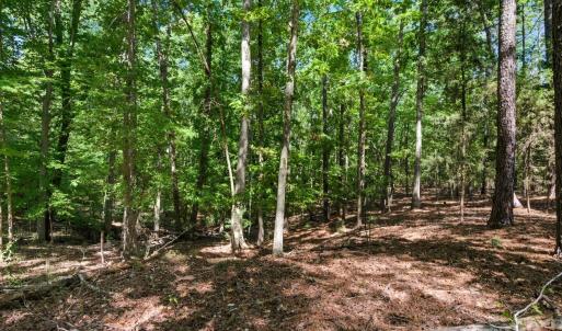 Photo #28 of 6860 Pine Moss, Lake Wylie, SC