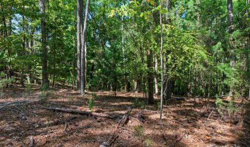 Photo #29 of 6860 Pine Moss, Lake Wylie, SC