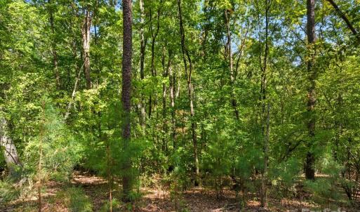 Photo #33 of 6860 Pine Moss, Lake Wylie, SC