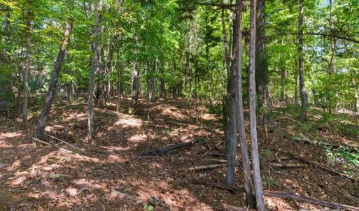 Photo #7 of 6860 Pine Moss, Lake Wylie, SC