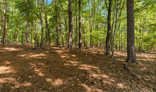 Photo #8 of 6860 Pine Moss, Lake Wylie, SC