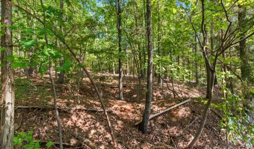 Photo #27 of 6860 Pine Moss, Lake Wylie, SC