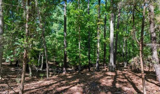 Photo #30 of 6860 Pine Moss, Lake Wylie, SC