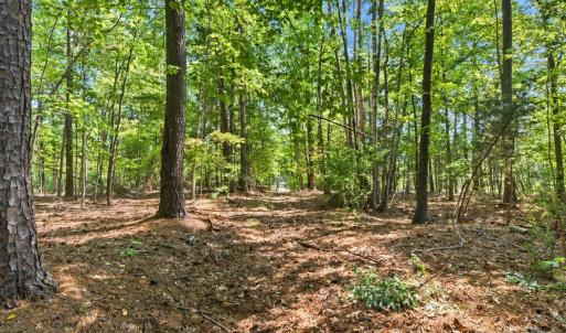 Photo #6 of 6860 Pine Moss, Lake Wylie, SC