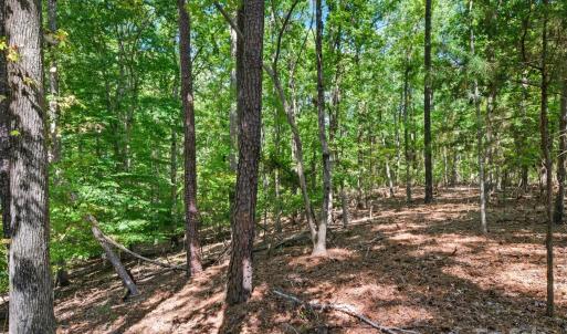Photo #31 of 6860 Pine Moss, Lake Wylie, SC