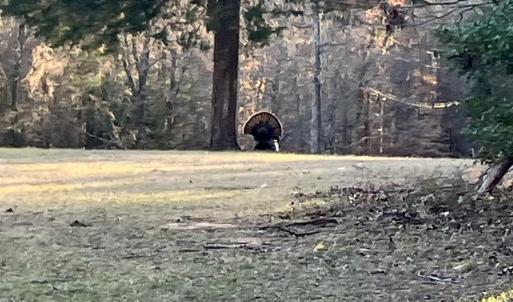 Photo #26 of 1115 John Short, Indian Land, SC