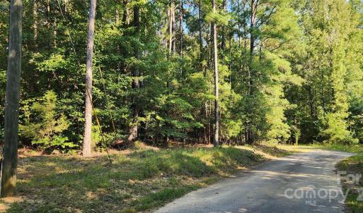 Photo #42 of 1115 John Short, Indian Land, SC