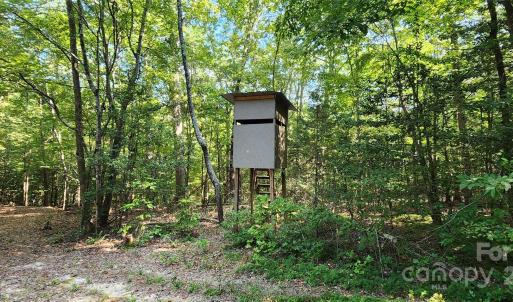 Photo #39 of 1115 John Short, Indian Land, SC