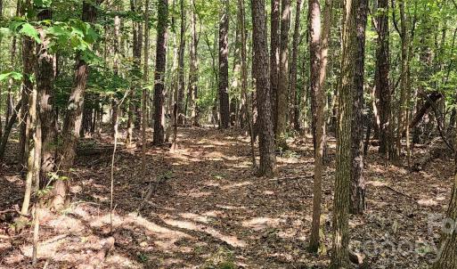 Photo #38 of 1115 John Short, Indian Land, SC