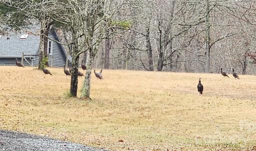 Photo #12 of 1115 John Short, Indian Land, SC