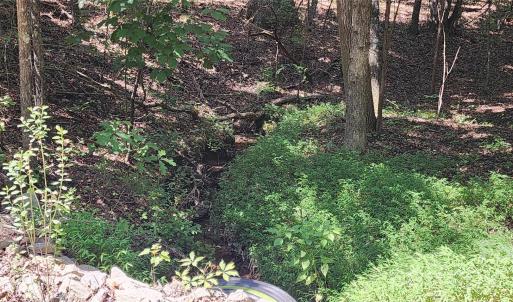 Photo #24 of 1115 John Short, Indian Land, SC