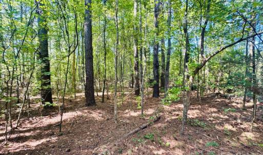 Photo #6 of 4142 SC Hwy 102, Chesterfield, SC