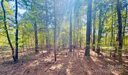 Photo #7 of 4142 SC Hwy 102, Chesterfield, SC
