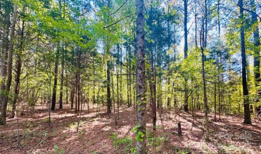 Photo #8 of 4142 SC Hwy 102, Chesterfield, SC