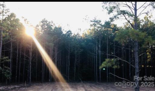Photo #3 of 1561 Jones, Kershaw, SC