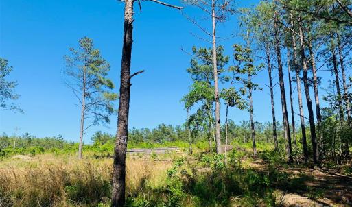 Photo #1 of 1561 Jones, Kershaw, SC