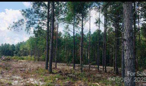 Photo #2 of 1561 Jones, Kershaw, SC