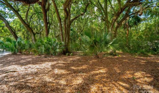 Photo #25 of 201 Grand Park, Charleston, SC