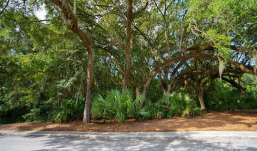 Photo #3 of 201 Grand Park, Charleston, SC