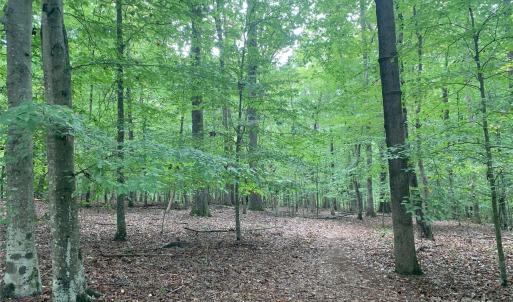 Photo #3 of Fawn, Waxhaw, NC