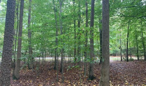 Photo #4 of Fawn, Waxhaw, NC