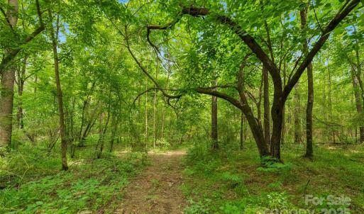 Photo #3 of Lucy Short Cut, Marshville, NC