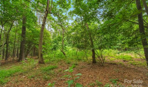 Photo #19 of Lucy Short Cut, Marshville, NC