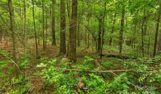 Photo #16 of Lucy Short Cut, Marshville, NC