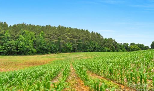 Photo #13 of Lucy Short Cut, Marshville, NC