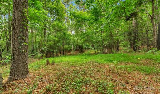 Photo #14 of Lucy Short Cut, Marshville, NC