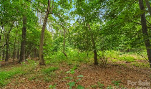 Photo #17 of Lucy Short Cut, Marshville, NC