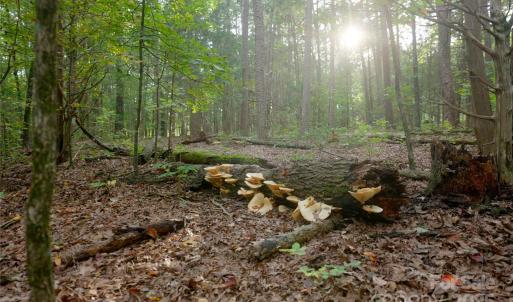 Photo #5 of 9650 Barnett, Concord, NC