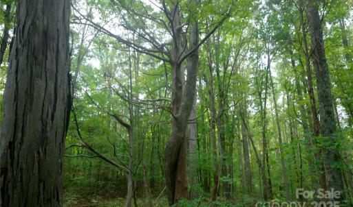 Photo #7 of 9650 Barnett, Concord, NC