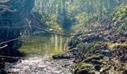 Photo #13 of Lot 6 Flint Ridge, Albemarle, NC