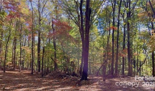 Photo #1 of Lot 6 Flint Ridge, Albemarle, NC
