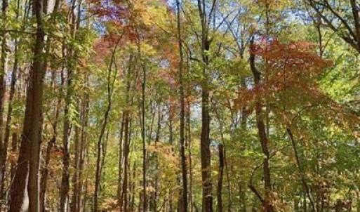 Photo #10 of Lot 6 Flint Ridge, Albemarle, NC