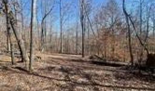 Photo #8 of Lot 6 Flint Ridge, Albemarle, NC