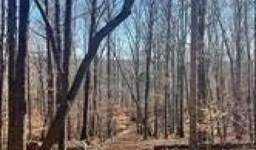 Photo #6 of Lot 6 Flint Ridge, Albemarle, NC