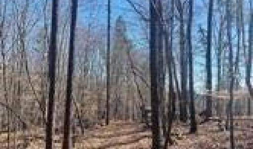 Photo #5 of Lot 6 Flint Ridge, Albemarle, NC