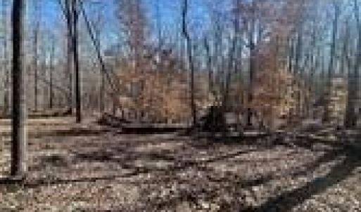 Photo #9 of Lot 6 Flint Ridge, Albemarle, NC