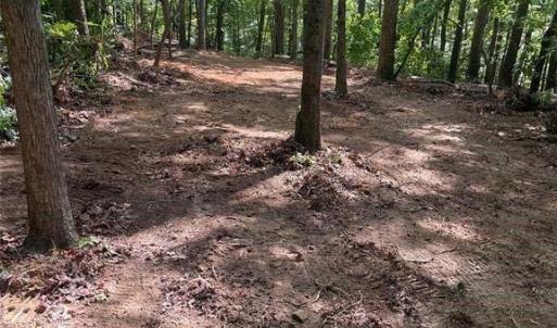Photo #11 of Lot 6 Flint Ridge, Albemarle, NC
