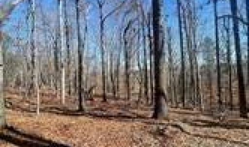 Photo #12 of Lot 6 Flint Ridge, Albemarle, NC