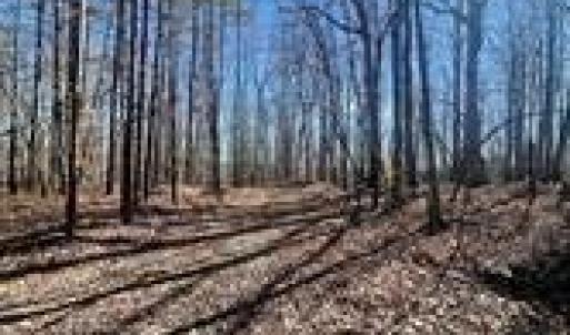 Photo #4 of Lot 6 Flint Ridge, Albemarle, NC
