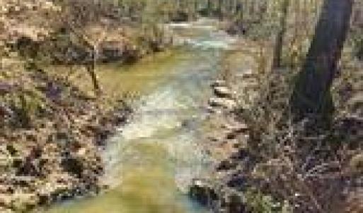 Photo #14 of Lot 6 Flint Ridge, Albemarle, NC