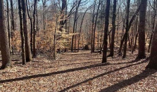 Photo #7 of Lot 6 Flint Ridge, Albemarle, NC