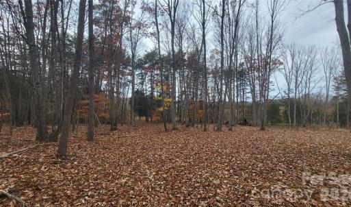 Photo #8 of 1056 Stephens Trail, Sandy Ridge, NC