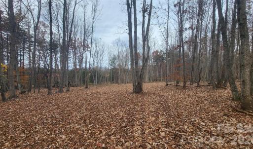 Photo #9 of 1056 Stephens Trail, Sandy Ridge, NC