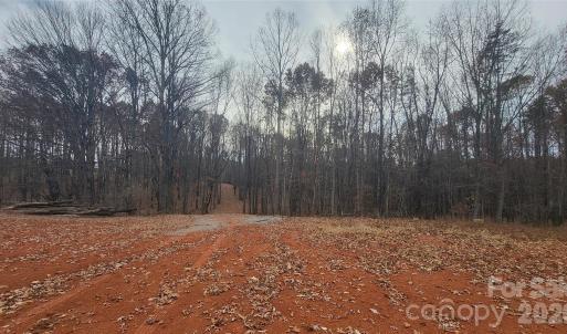 Photo #5 of 1056 Stephens Trail, Sandy Ridge, NC