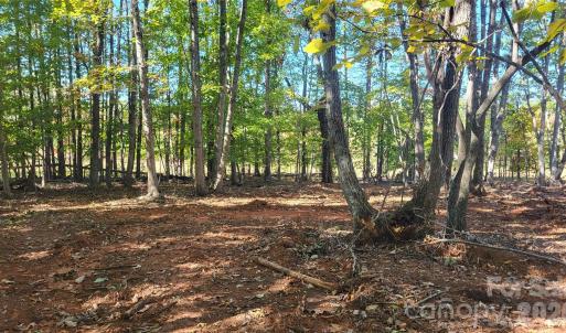 Photo #3 of 1056 Stephens Trail, Sandy Ridge, NC