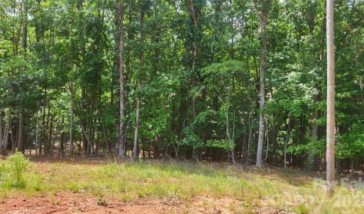 Photo #23 of 1056 Stephens Trail, Sandy Ridge, NC